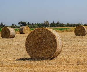 Passives Einkommen an der Börse generieren